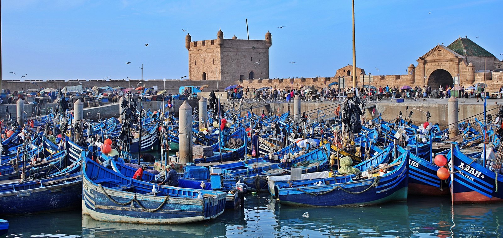 Imsouane to Essaouira private transfer with Chiwash Taxi Morocco